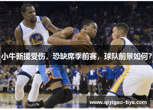 小牛新援受伤，恐缺席季前赛，球队前景如何？